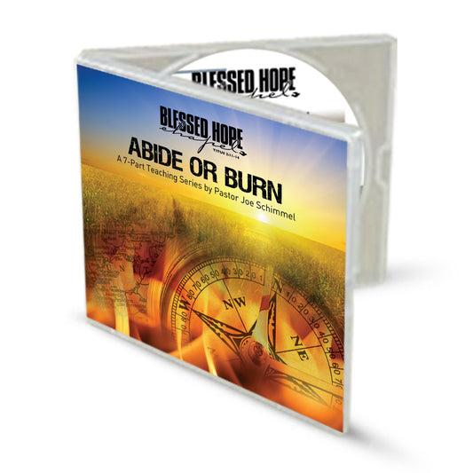 Abide or Burn